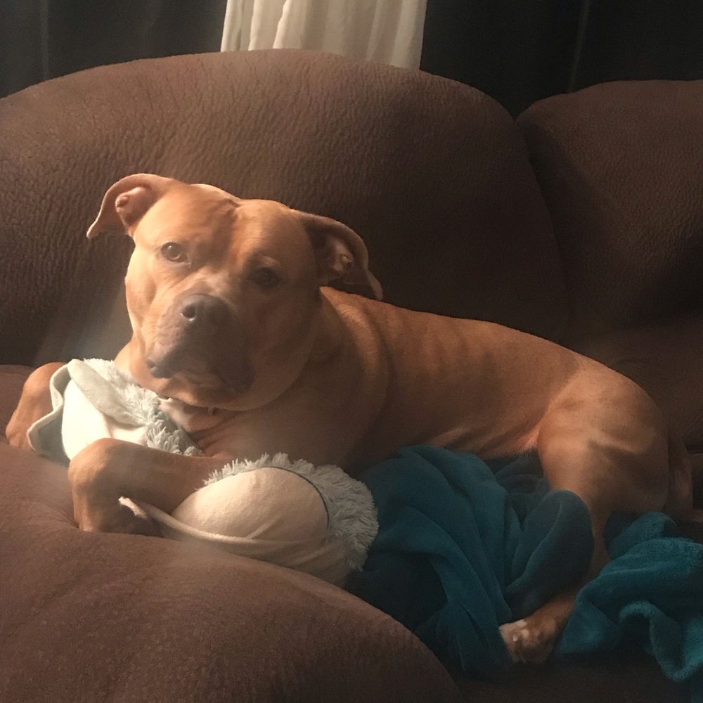 Meet your Posher, Heather